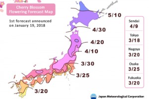 Dự báo lịch hoa anh đào nở ở Nhật Bản năm 2018