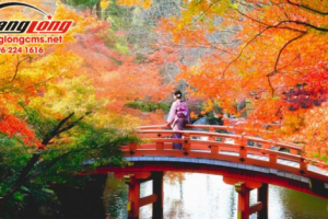 Những địa điểm ngắm lá vàng đẹp nhất Hokkaido