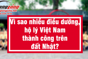 Vì sao nhiều điều dưỡng, hộ lý Việt Nam thành công trên đất Nhật?