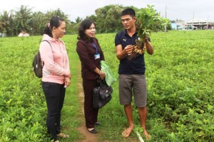 Đi xuất khẩu lao động về Việt Nam làm “đại gia”