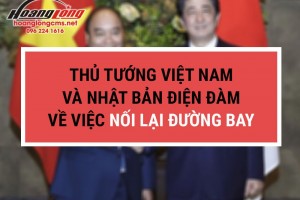 Thủ tướng Việt Nam – Nhật Bản điện đàm về việc nối lại đường bay