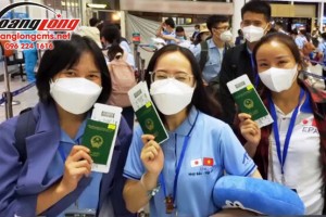 Nhật Bản tiếp nhận thực tập sinh Việt Nam từ ngày 8/11