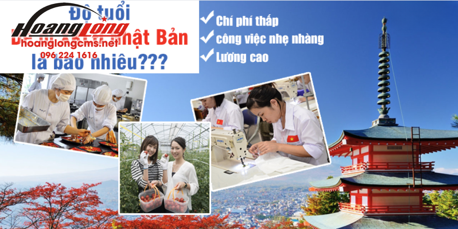 độ tuổi xuất khẩu lao đông nhật bản